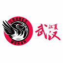 武汉盛帆女篮 武汉盛帆女篮